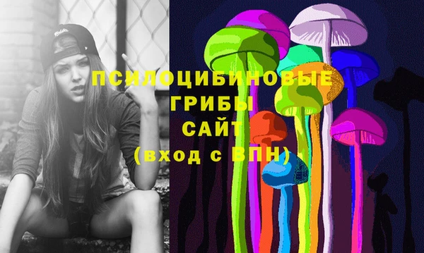 тгк Аркадак